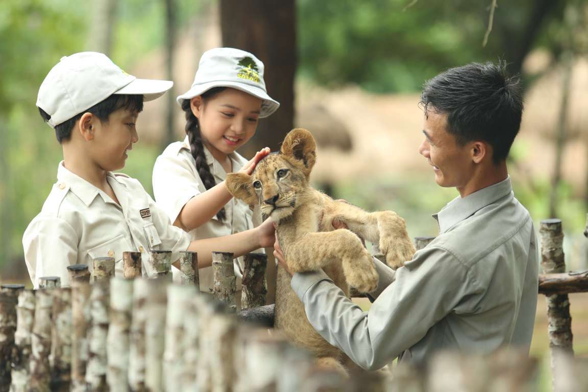 Trải nghiệm cho động vật ăn tại Safari Phú Quốc