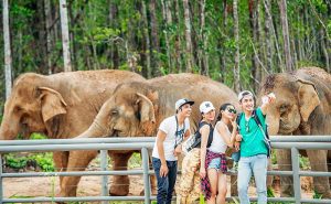 Vinpearl Safari Phú Quốc - Vườn Thú Bán Hoang Dã Trên Đảo Ngọc