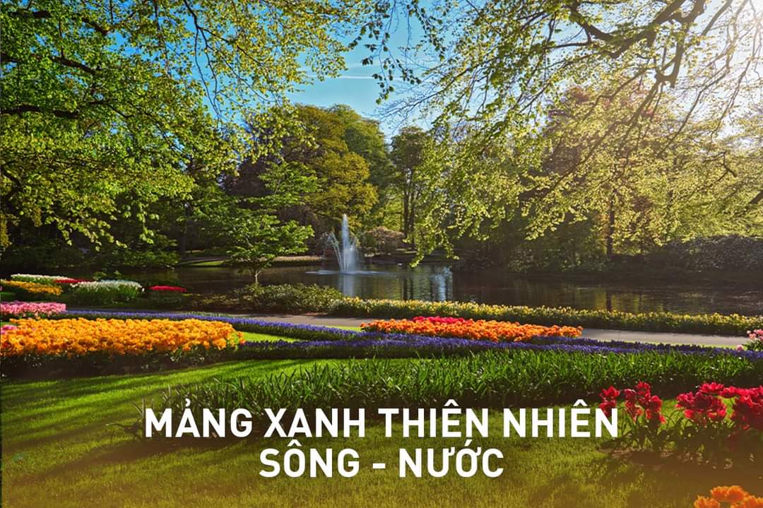 Mảng xanh thiên nhiên 